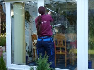 Fenster- und Rahmenreinigung